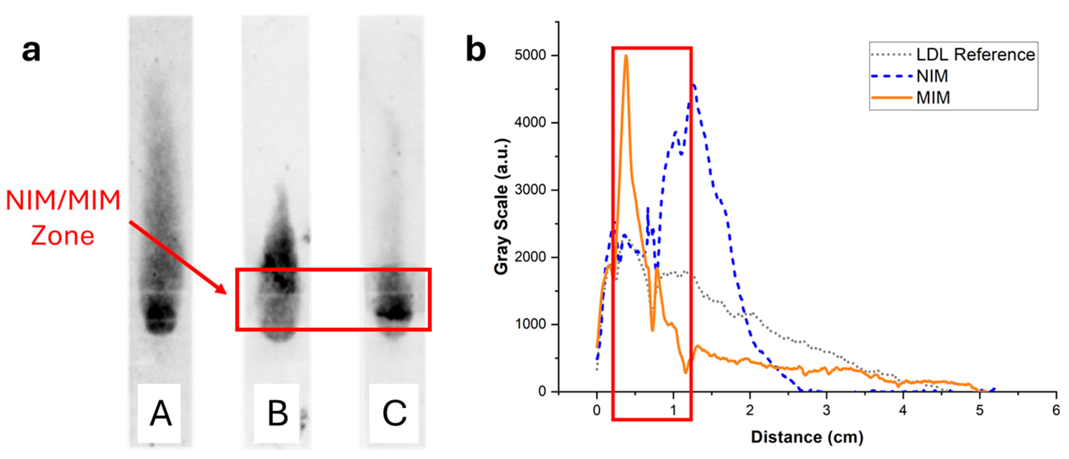 Biosensors 15 00685 g008