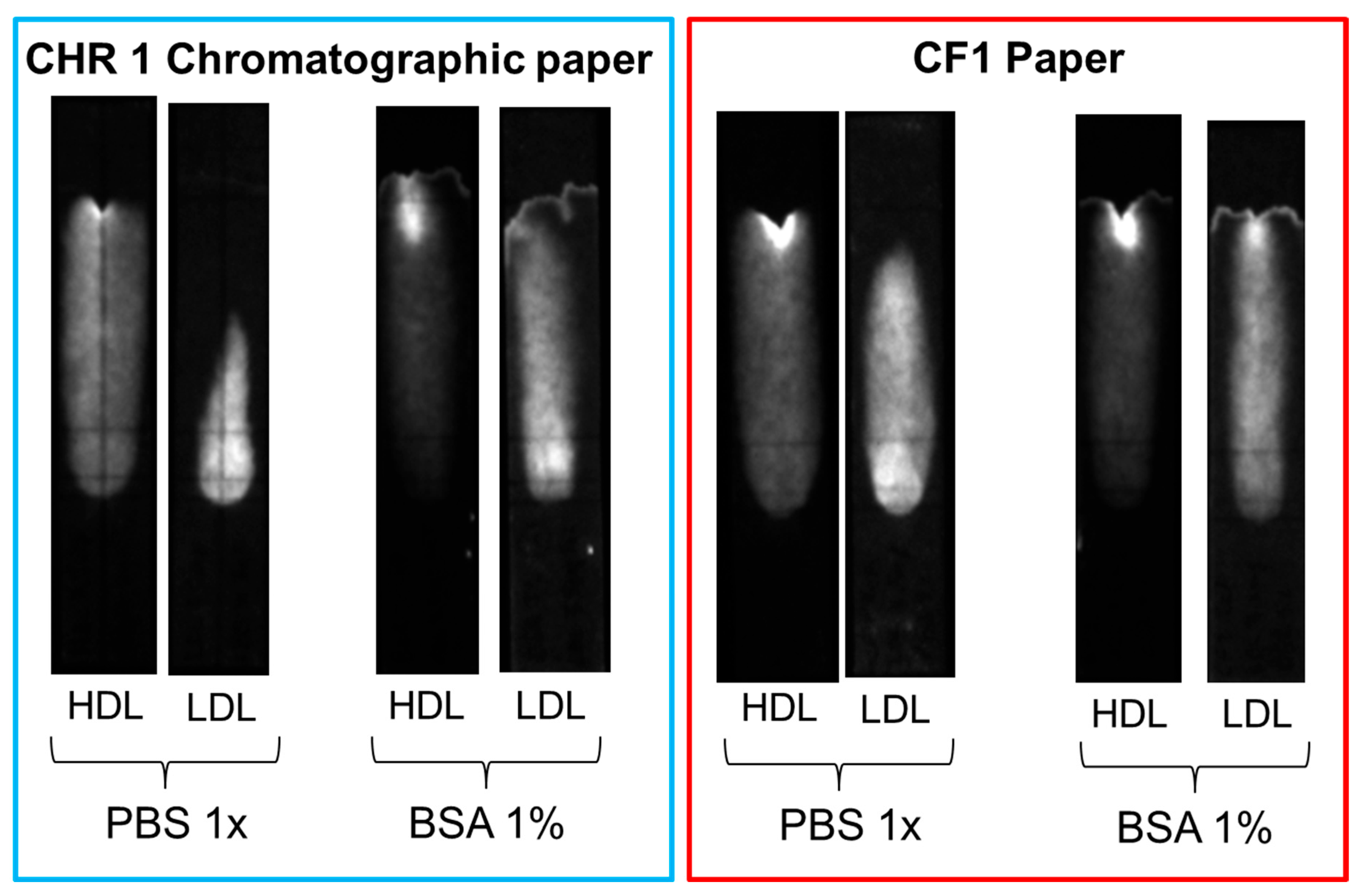 Biosensors 15 00685 g010