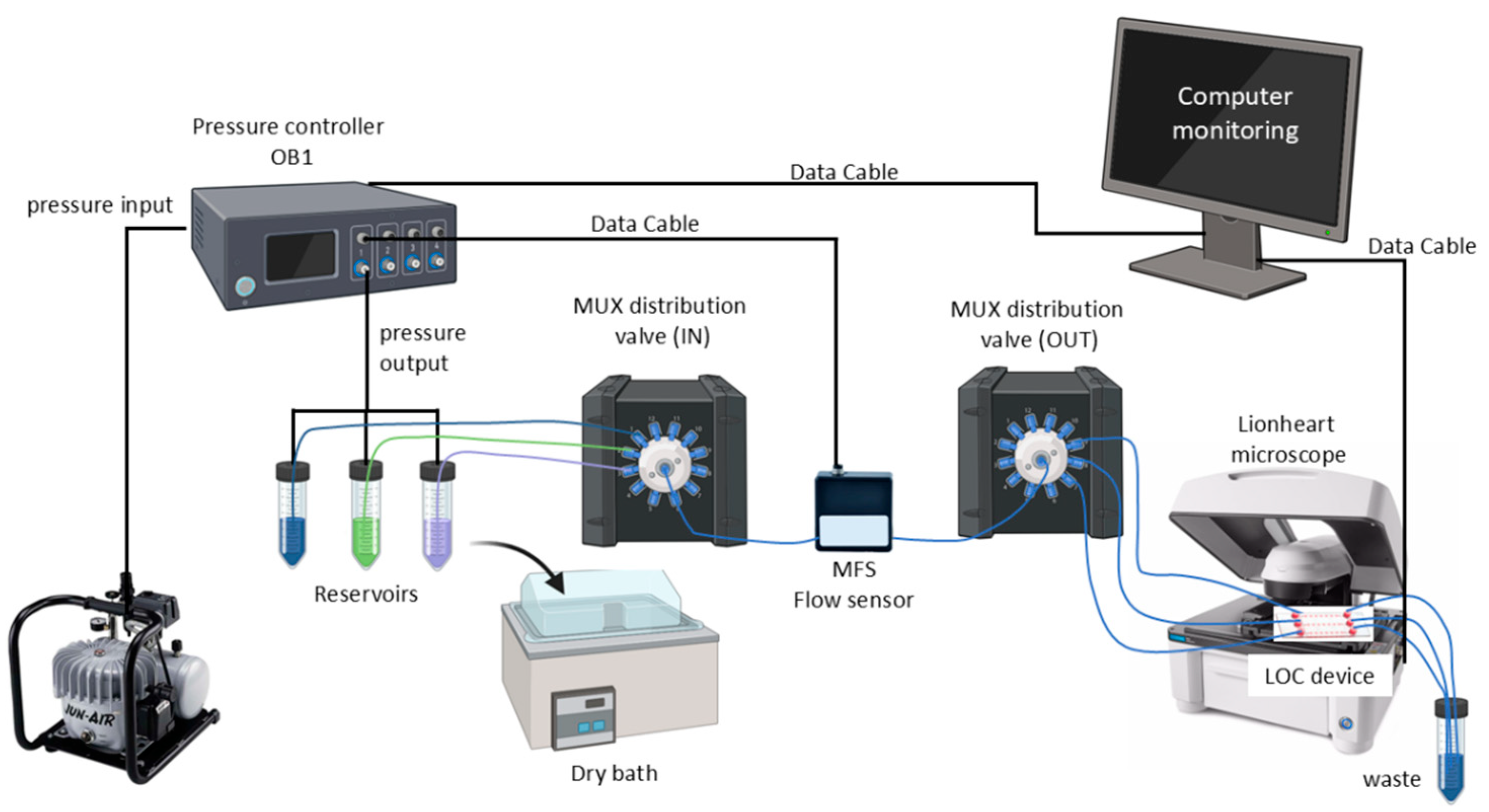 Biosensors 15 00693 g001 Biosensors 15 00693 g001