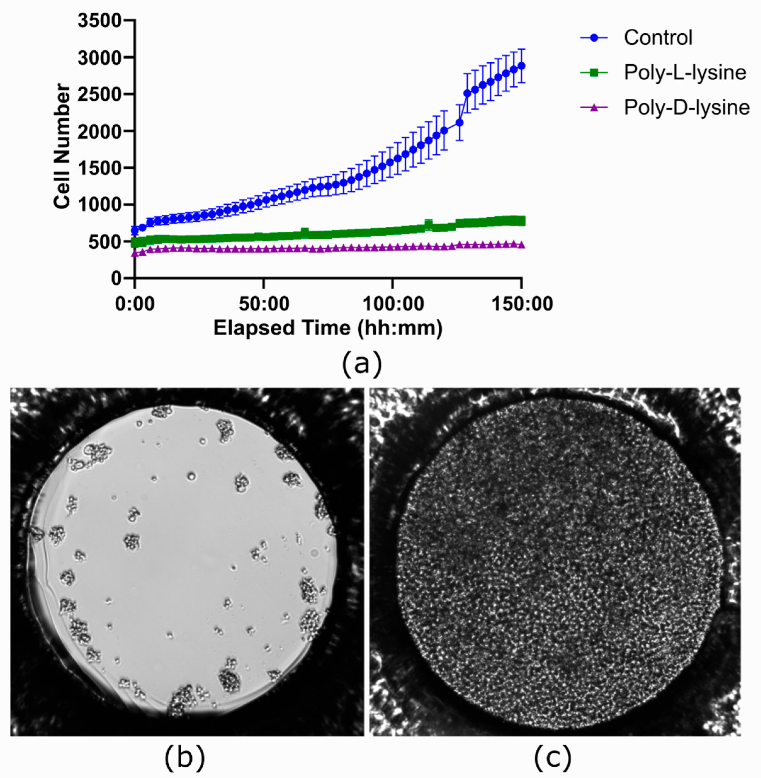 Biosensors 15 00693 g010 Biosensors 15 00693 g010