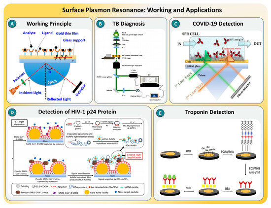 Biosensors 15 00696 g002
