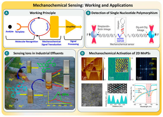 Biosensors 15 00696 g003