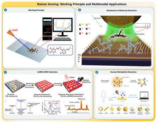 Biosensors 15 00696 g007