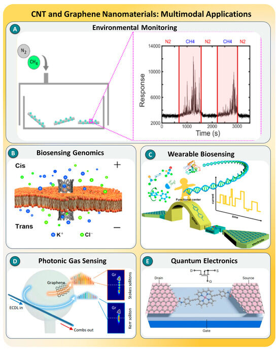 Biosensors 15 00696 g011