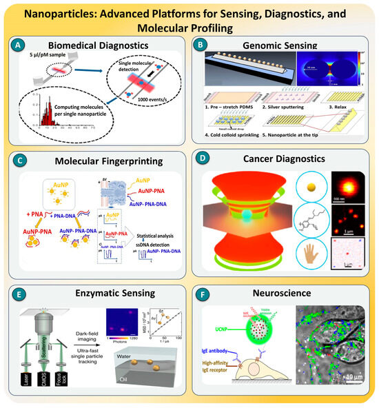 Biosensors 15 00696 g013