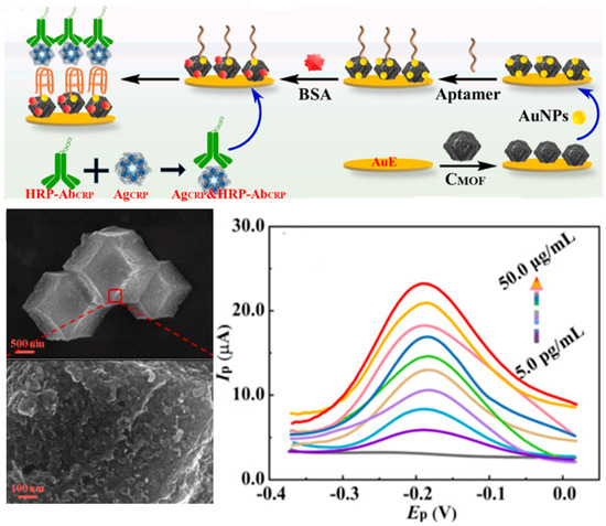 Biosensors 15 00726 g006