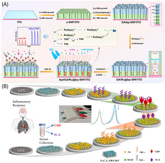 Biosensors 15 00726 g007
