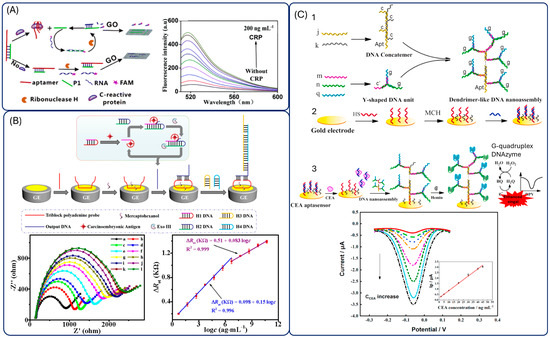 Biosensors 15 00726 g008
