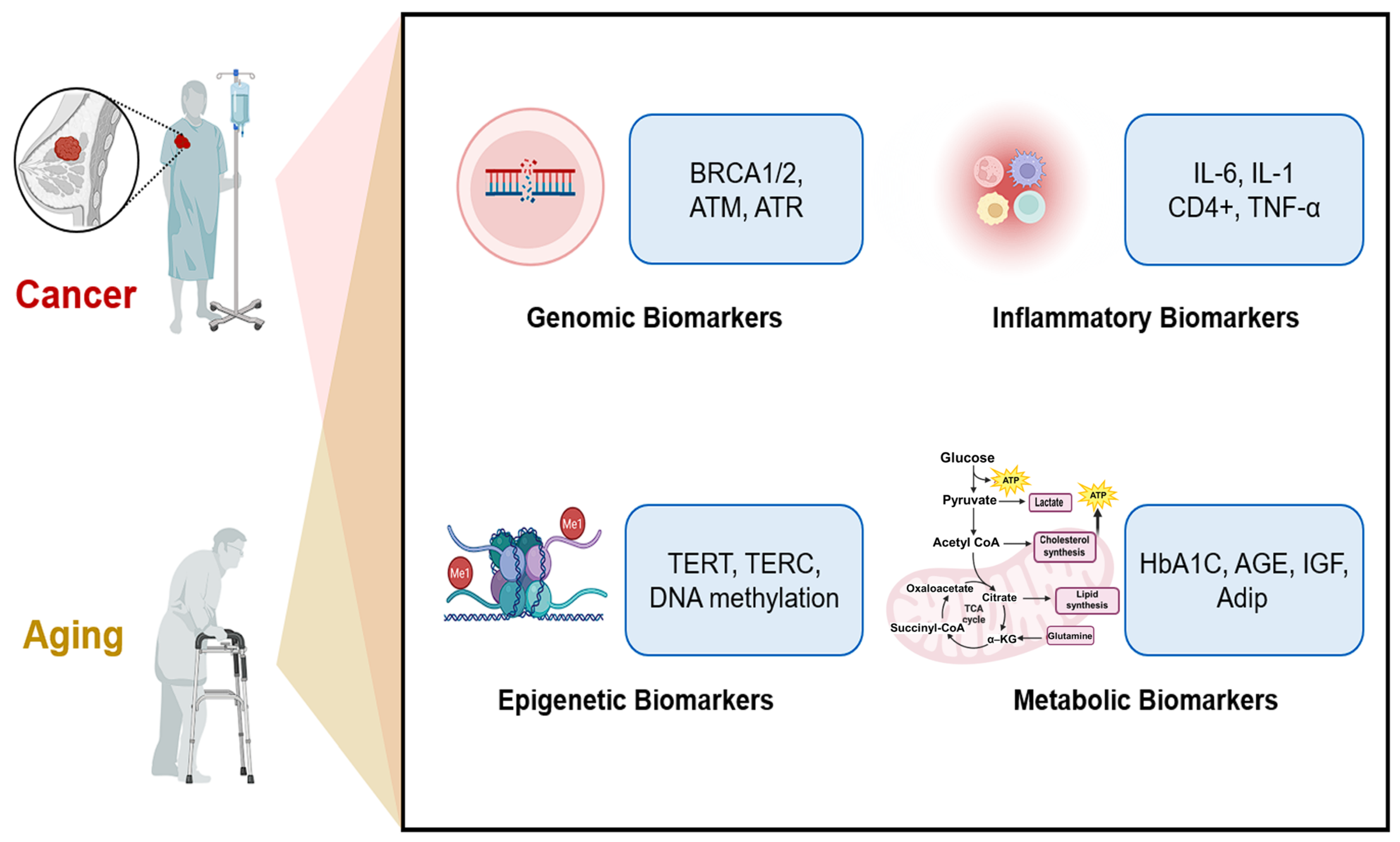 Biosensors 15 00737 g004