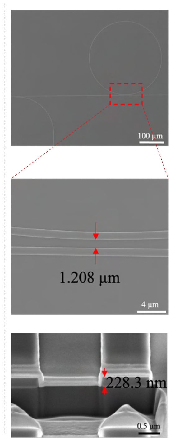 Biosensors 15 00741 g0a1