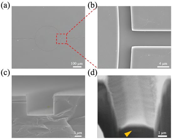 Biosensors 15 00741 g0a2