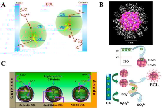 Biosensors 15 00749 g003