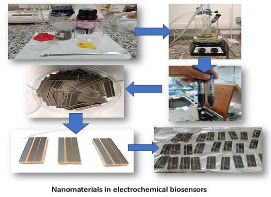 Nanomaterials-Enhanced Electrochemical Biosensors for Epithelial Cancer ...