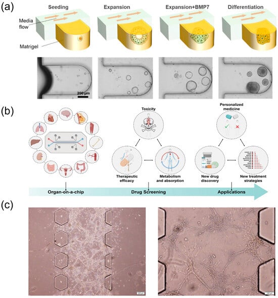 Biosensors 15 00770 g006