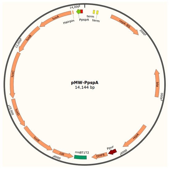 Biosensors 15 00780 g0a1