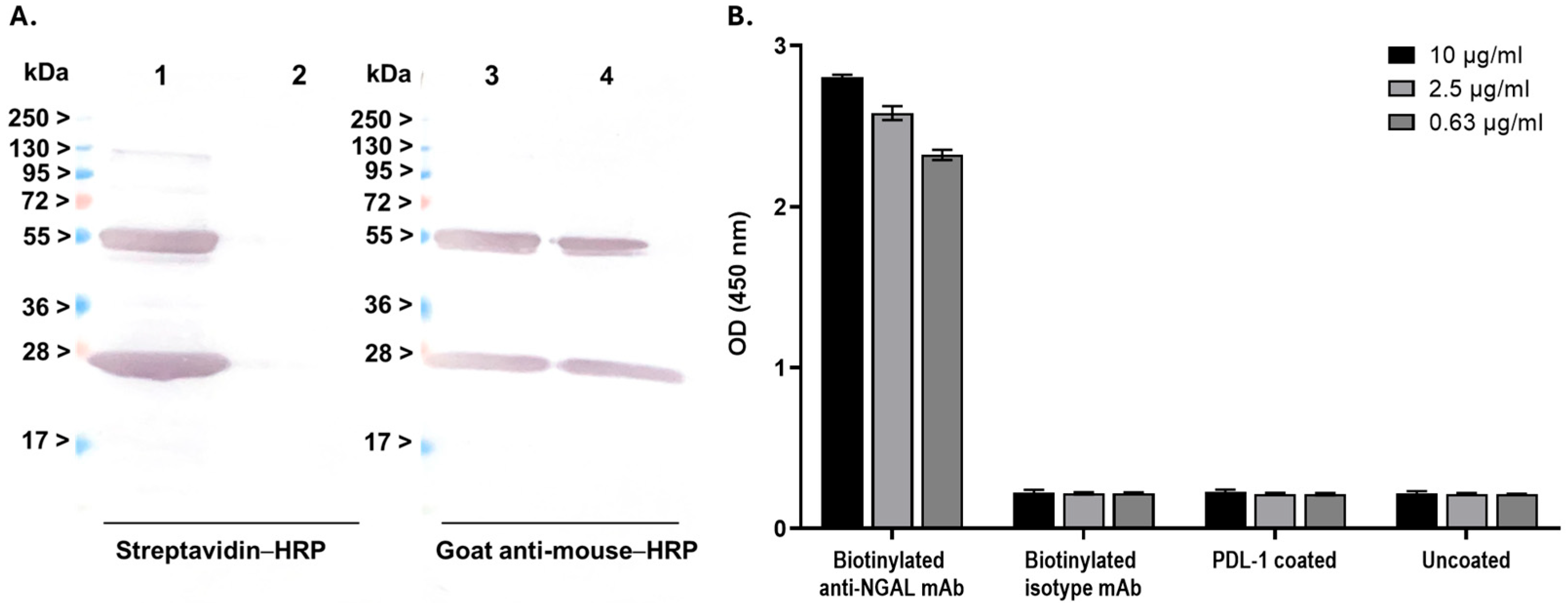 Fast Detectin Antibody-Based Biolayer Interferometry Platform for Rapid Detection of ...