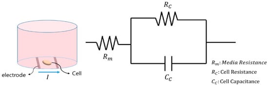 Biosensors 15 00788 g0a2