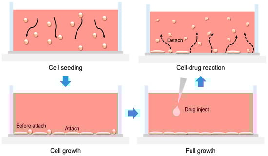 Biosensors 15 00788 g0a3
