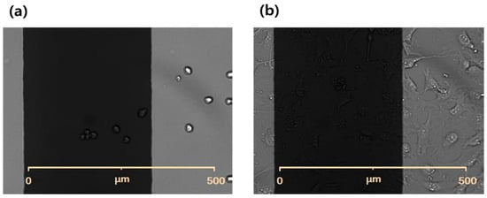 Biosensors 15 00788 g0a4