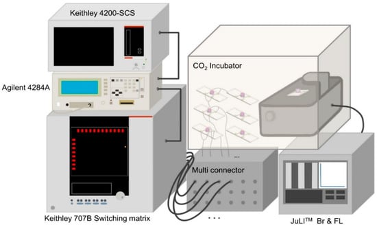 Biosensors 15 00788 g0a5