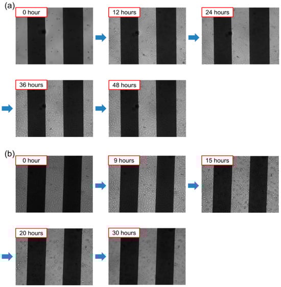 Biosensors 15 00788 g0a6