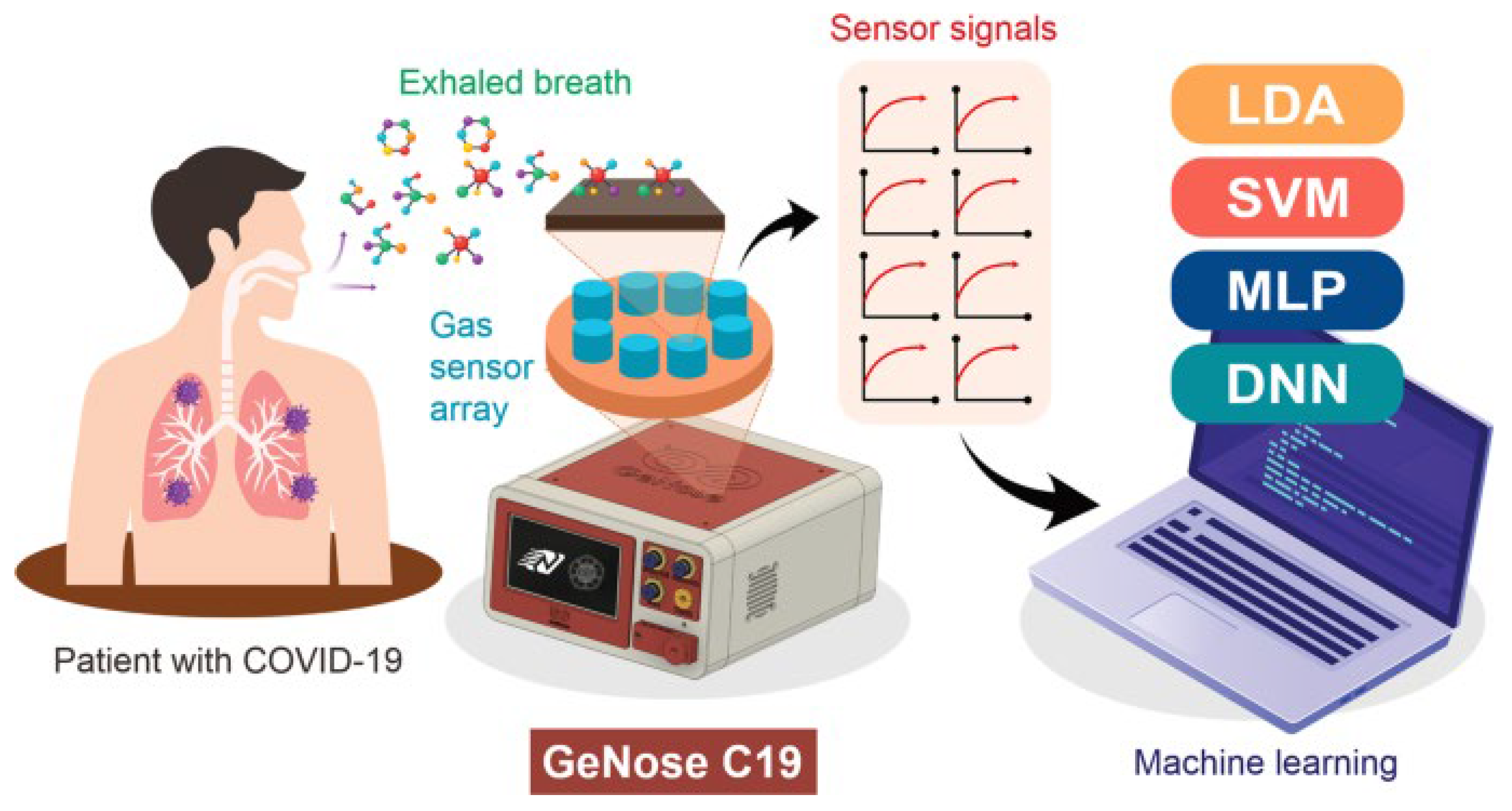 Biosensors 15 00792 g005 Biosensors 15 00792 g005