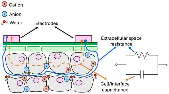 Biosensors 15 00805 g0a11