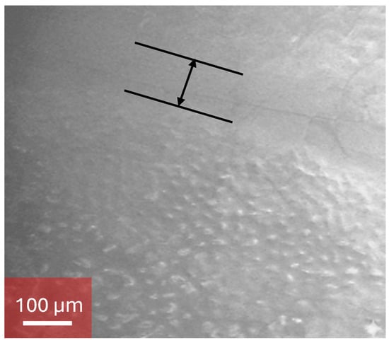 Biosensors 15 00805 g0a7