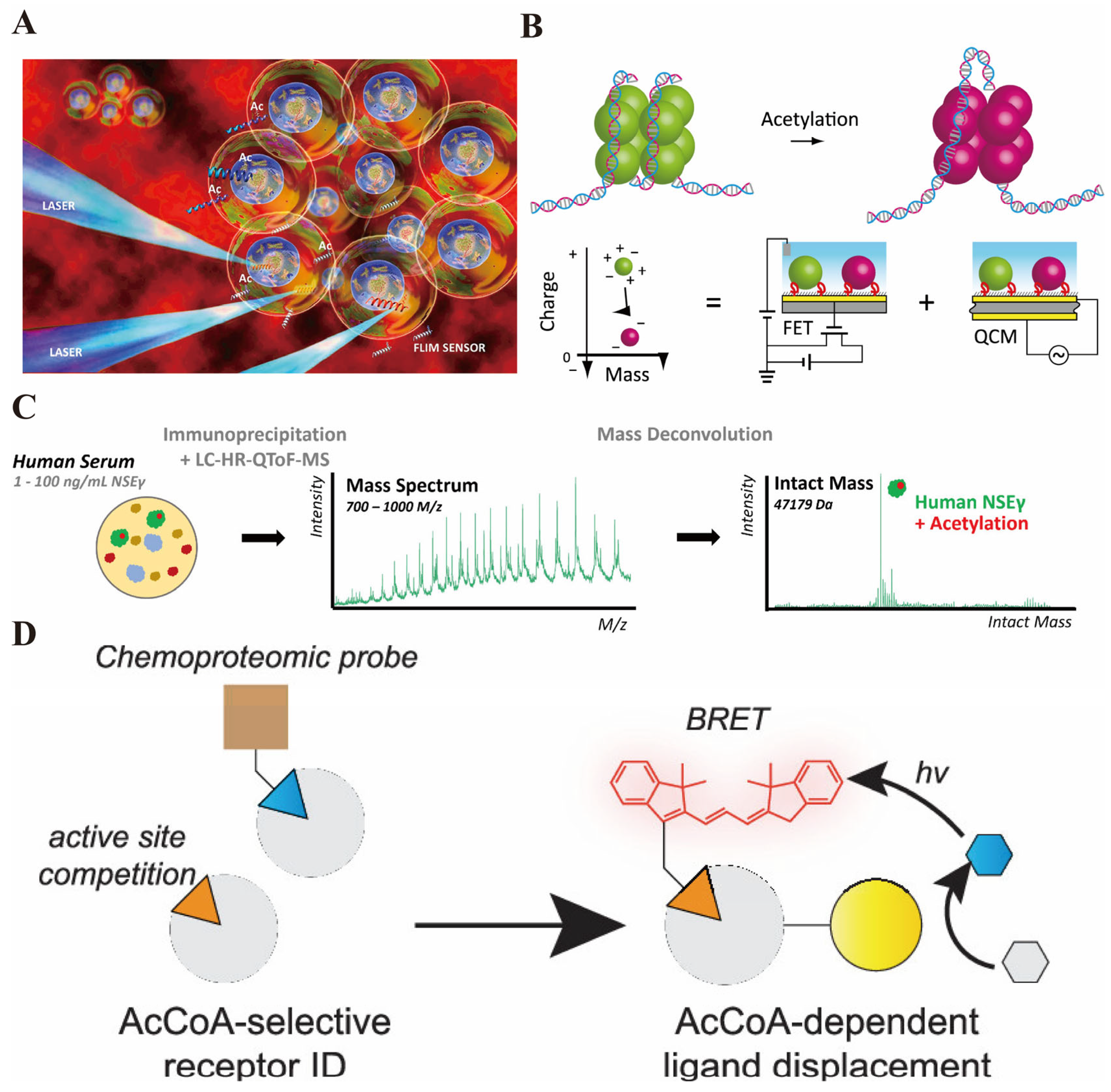 Biosensors 16 00021 g002