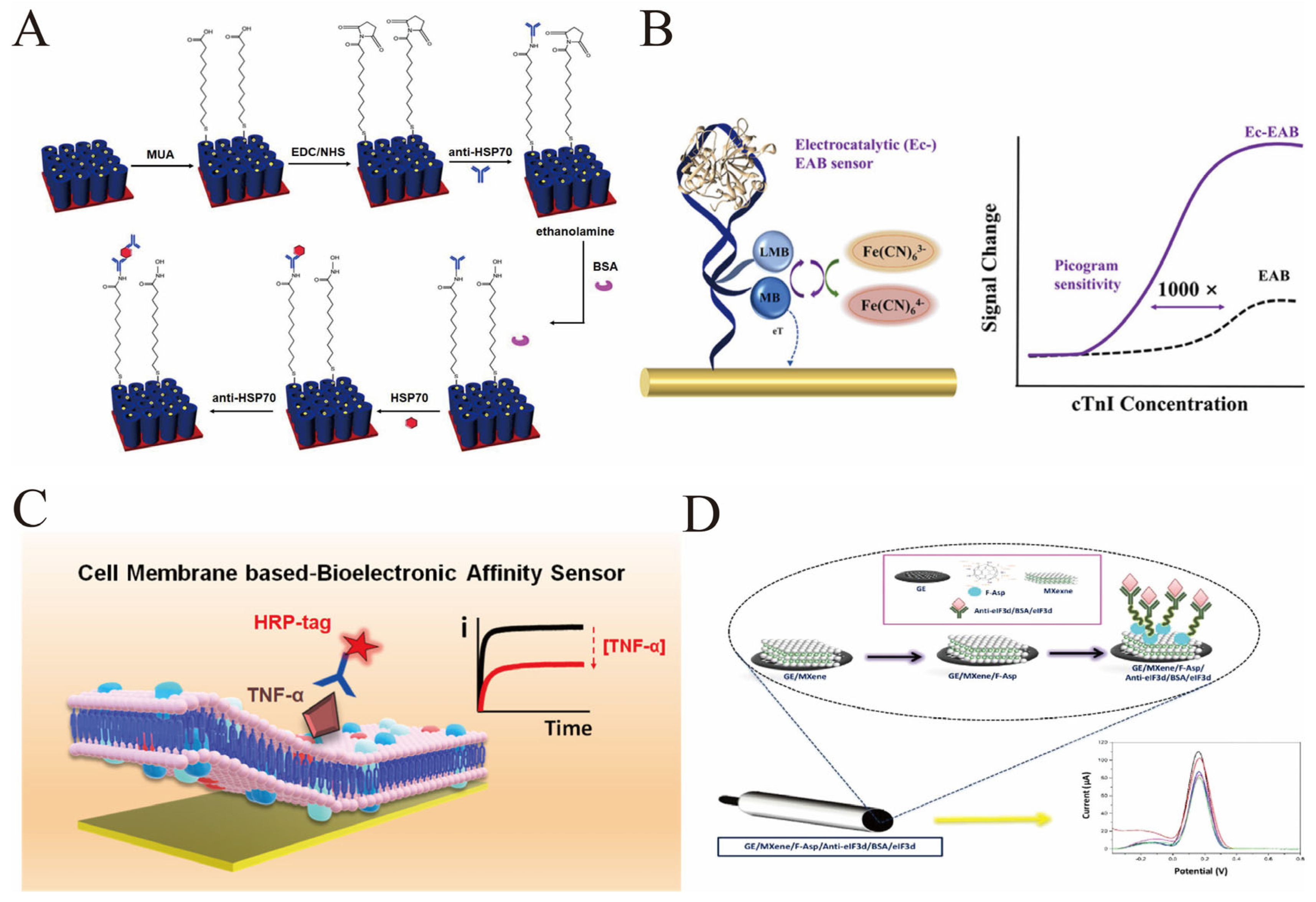 Biosensors 16 00021 g004