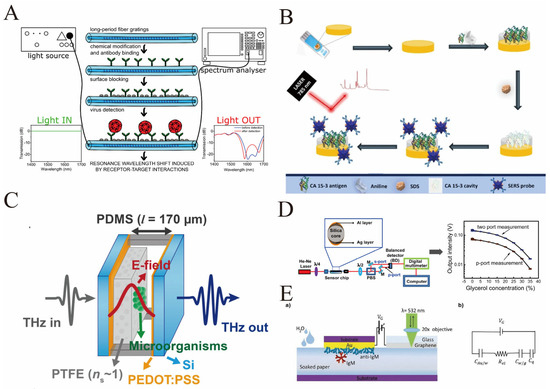 Biosensors 16 00021 g005