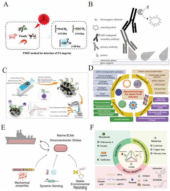 Biosensors 16 00021 g007