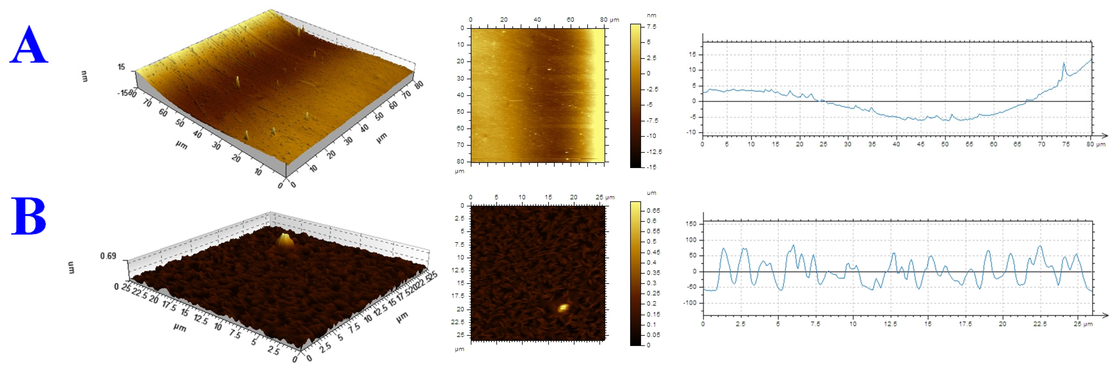 Biosensors 16 00033 g004 Biosensors 16 00033 g004