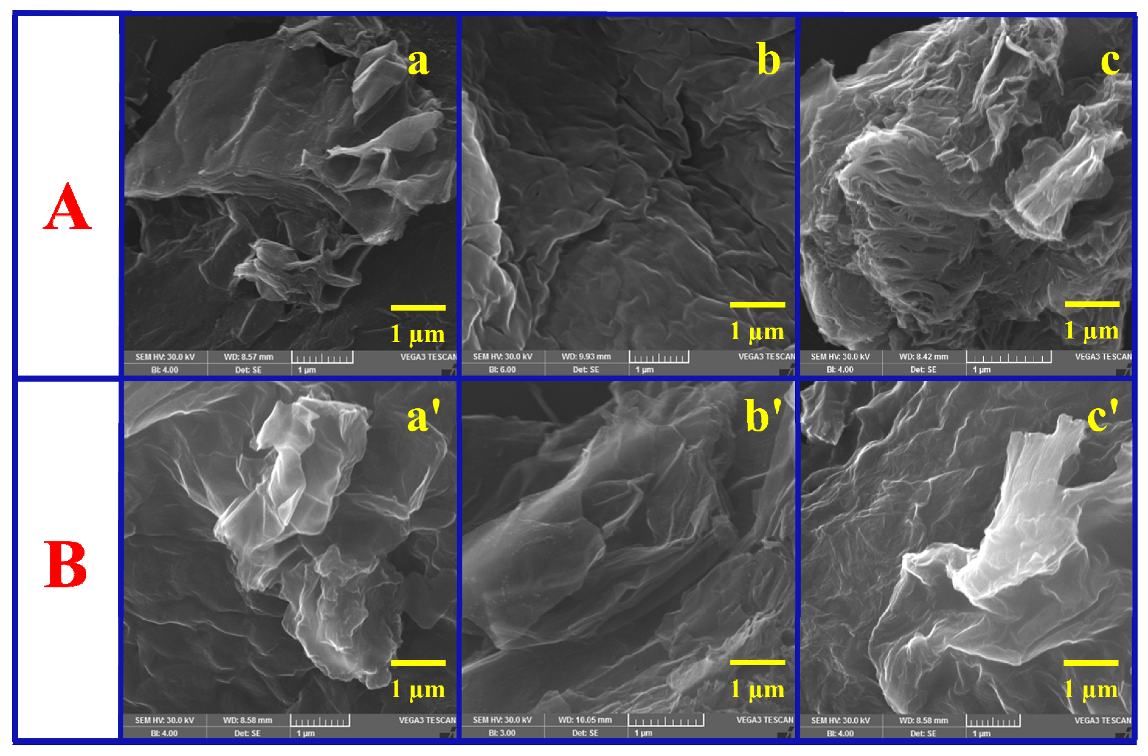 Biosensors 16 00033 g005 Biosensors 16 00033 g005