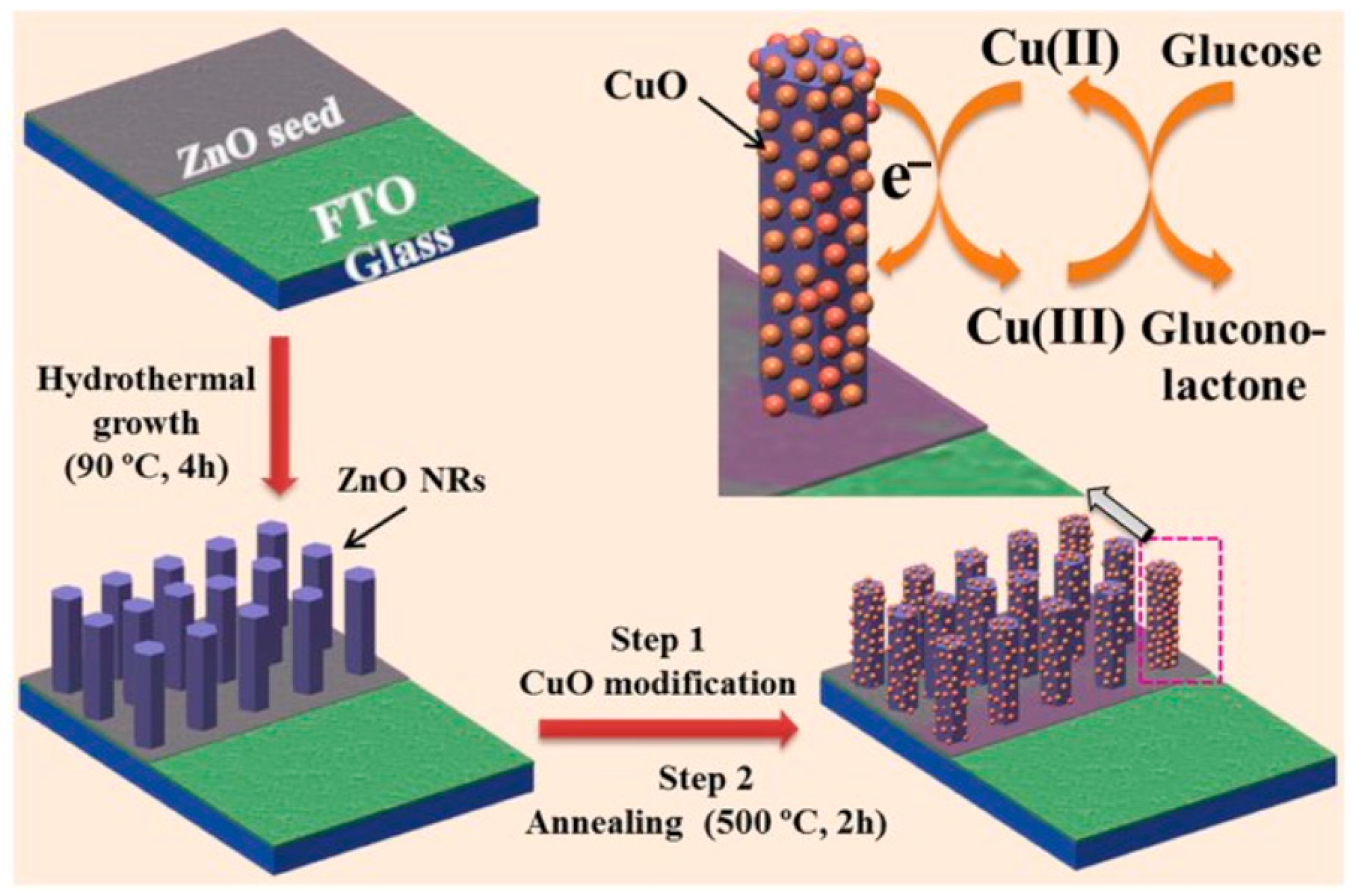 Biosensors 16 00039 g001 Biosensors 16 00039 g001