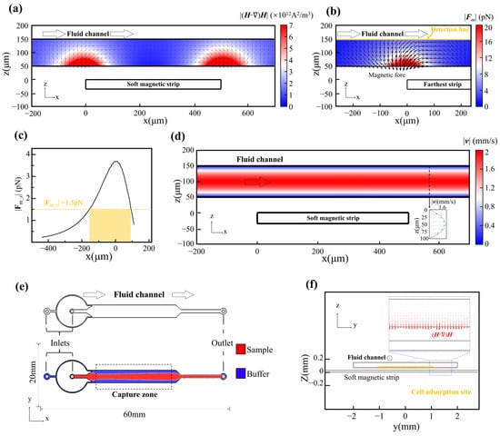 Biosensors 16 00041 g002