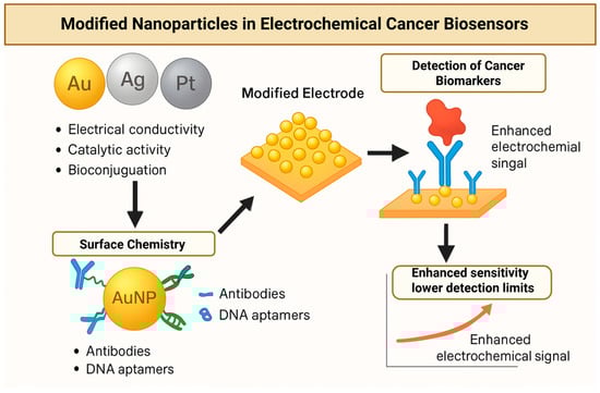 Biosensors 16 00044 g003