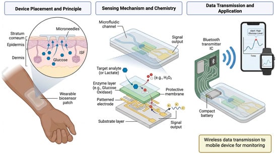 Biosensors 16 00044 g004