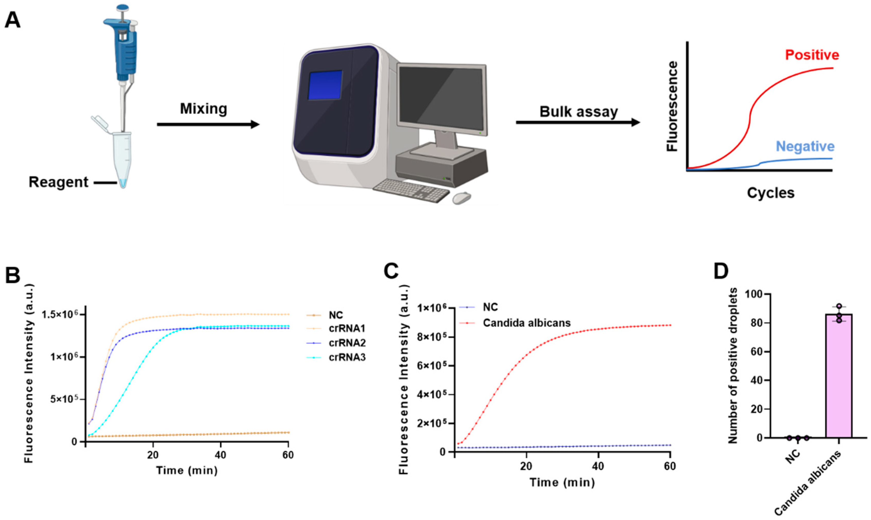 Biosensors 16 00072 g001