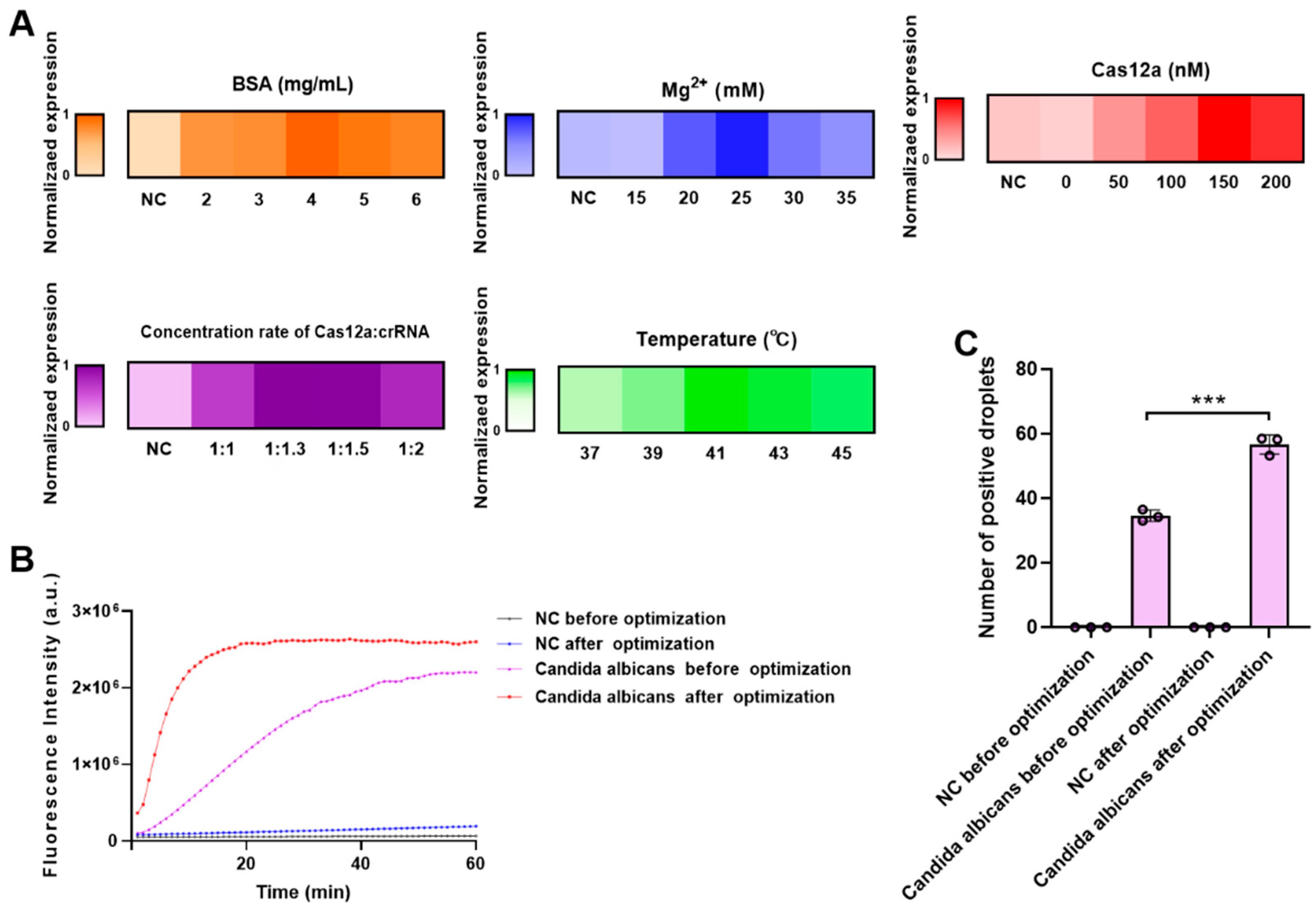 Biosensors 16 00072 g002