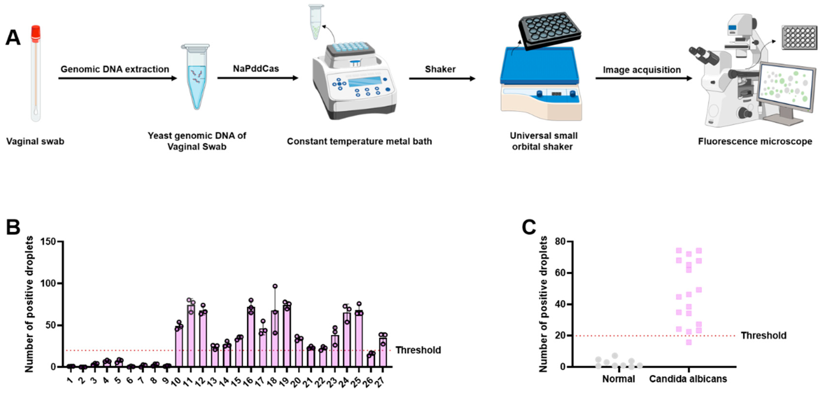 Biosensors 16 00072 g004
