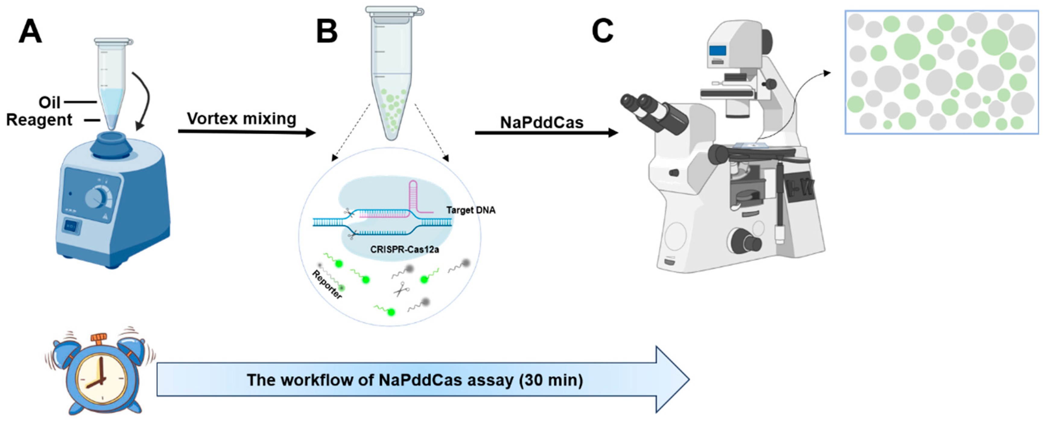 Biosensors 16 00072 sch001