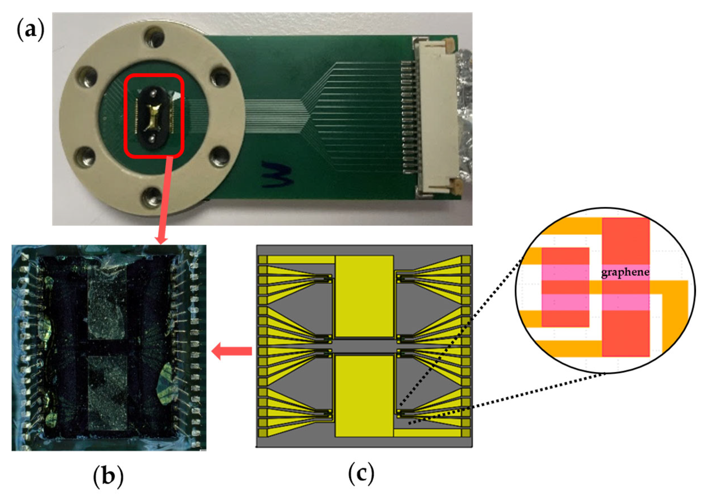 Biosensors 16 00083 g002