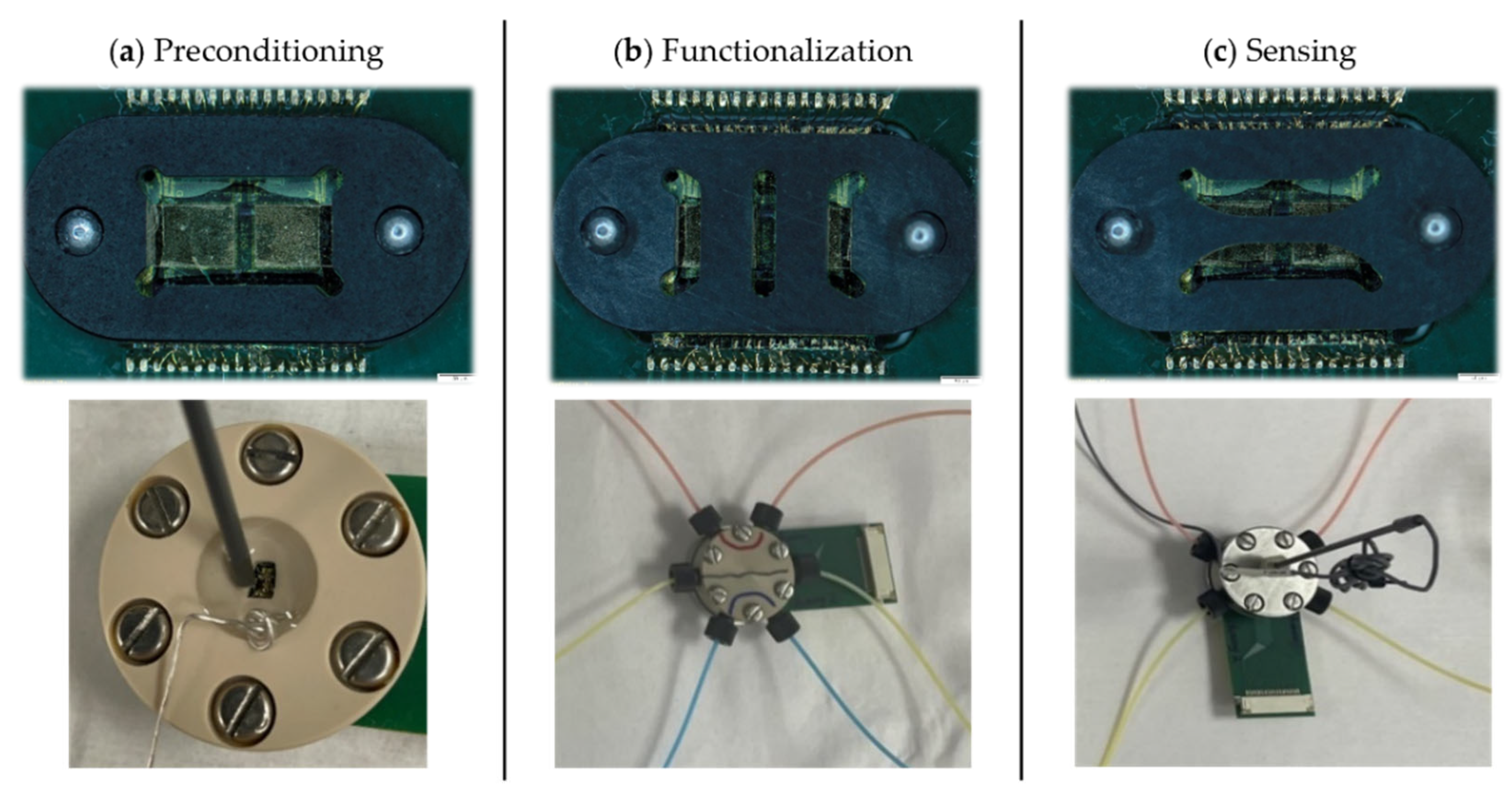 Biosensors 16 00083 g003