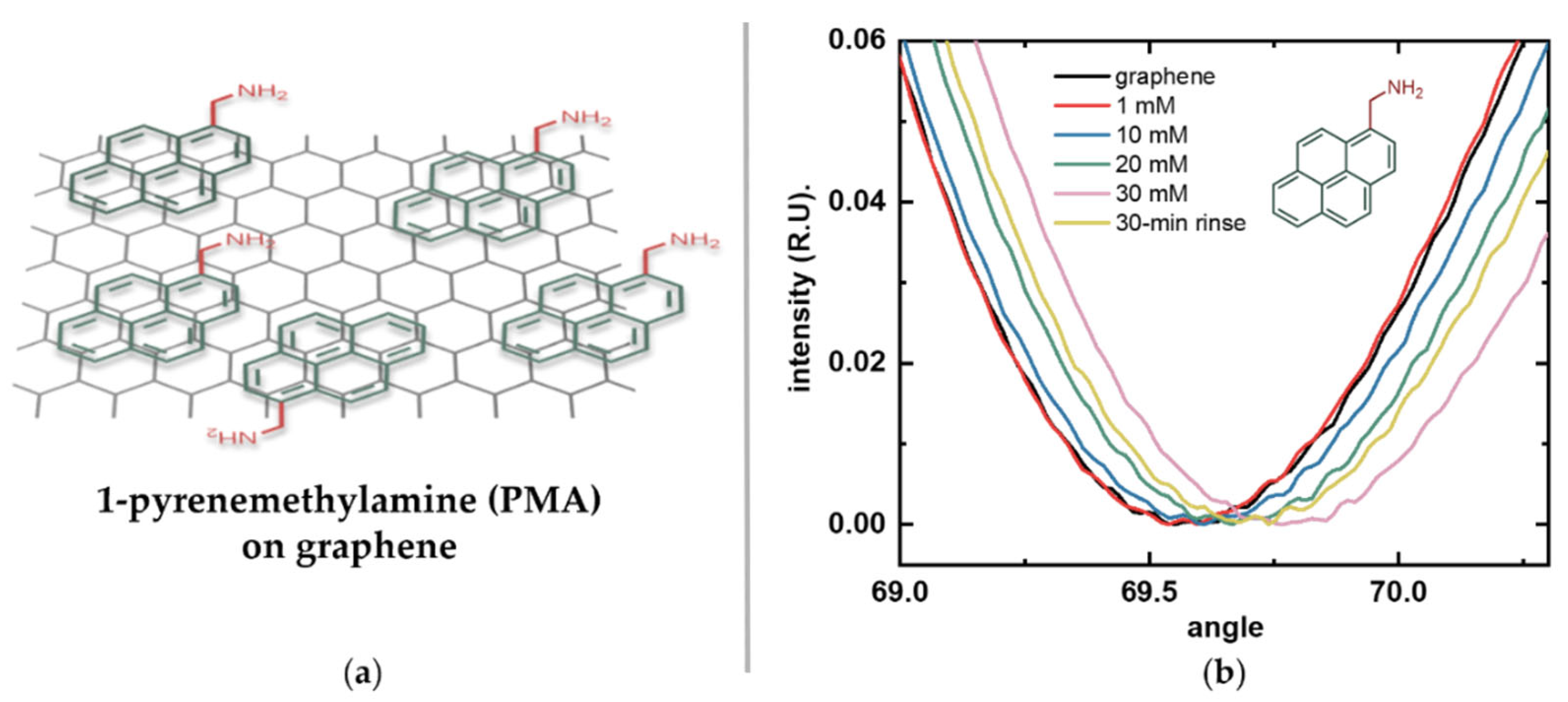Biosensors 16 00083 g004