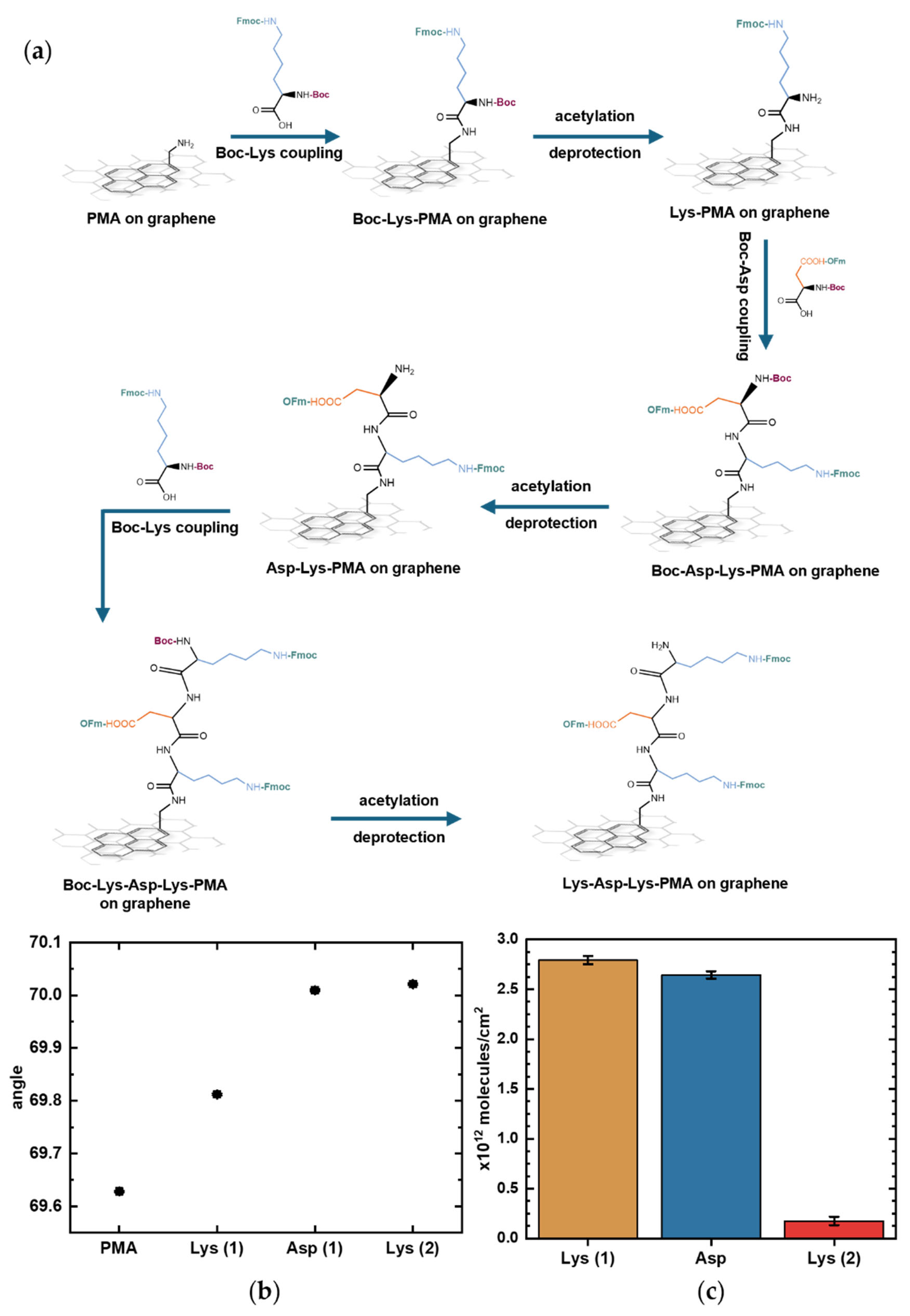 Biosensors 16 00083 g006