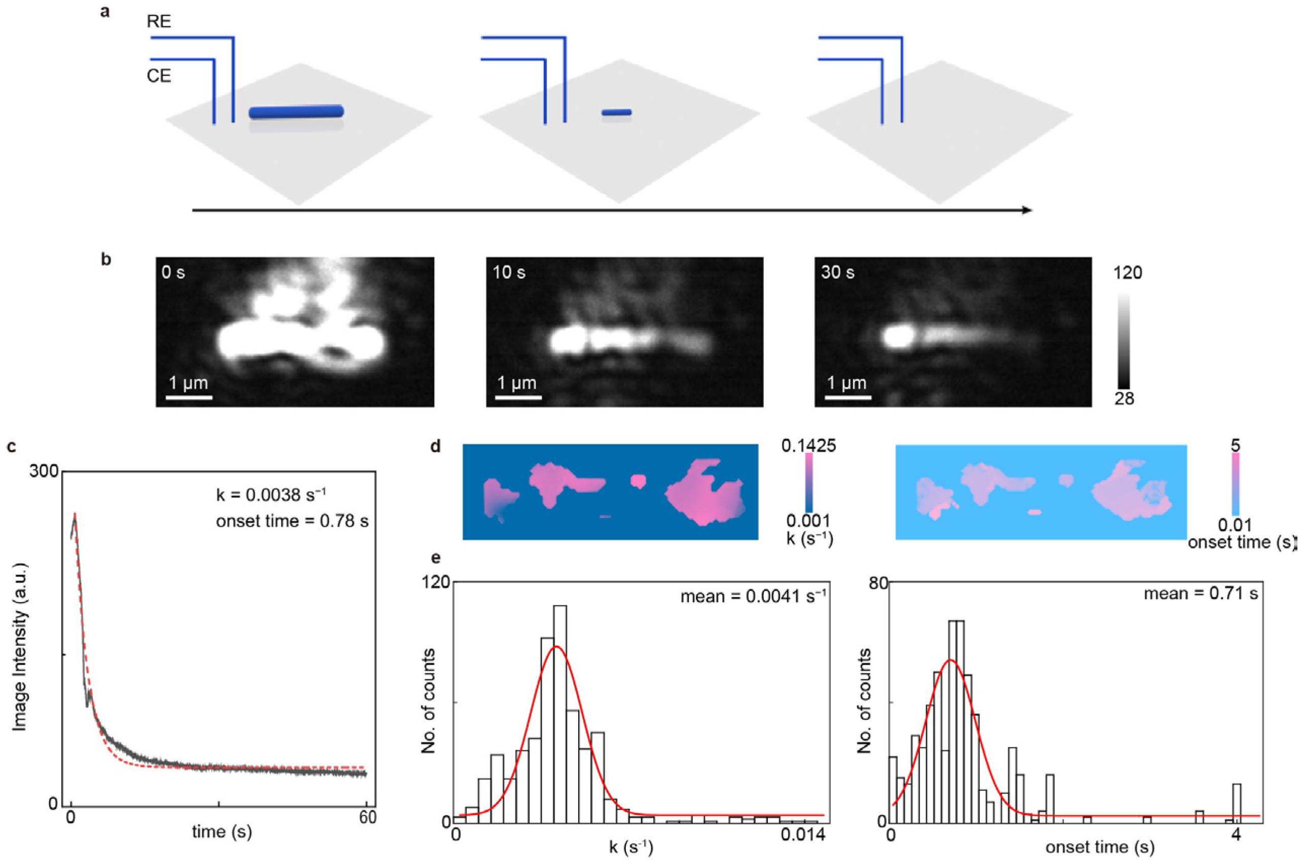 Biosensors 16 00086 g003