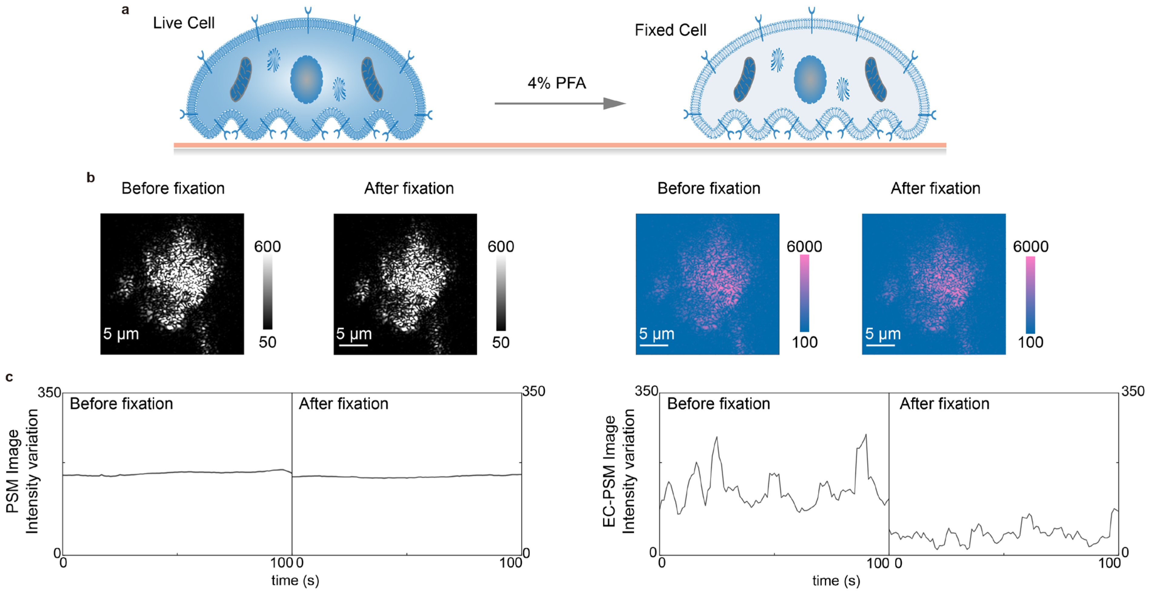 Biosensors 16 00086 g004