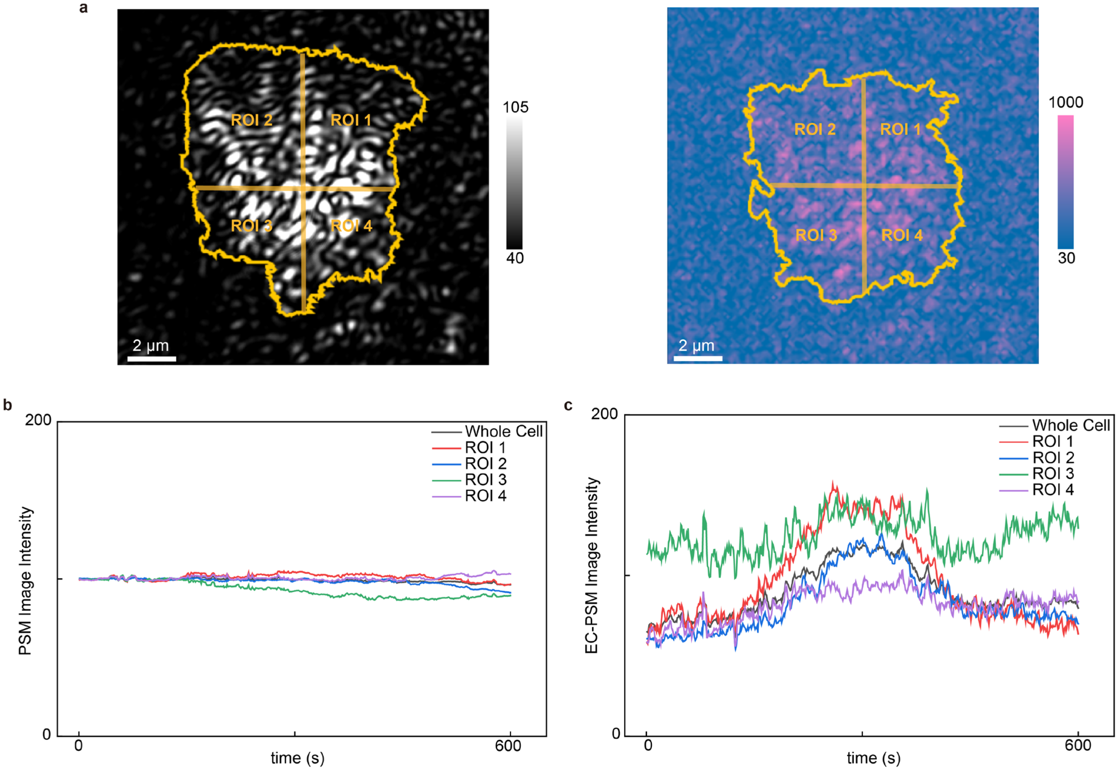 Biosensors 16 00086 g005