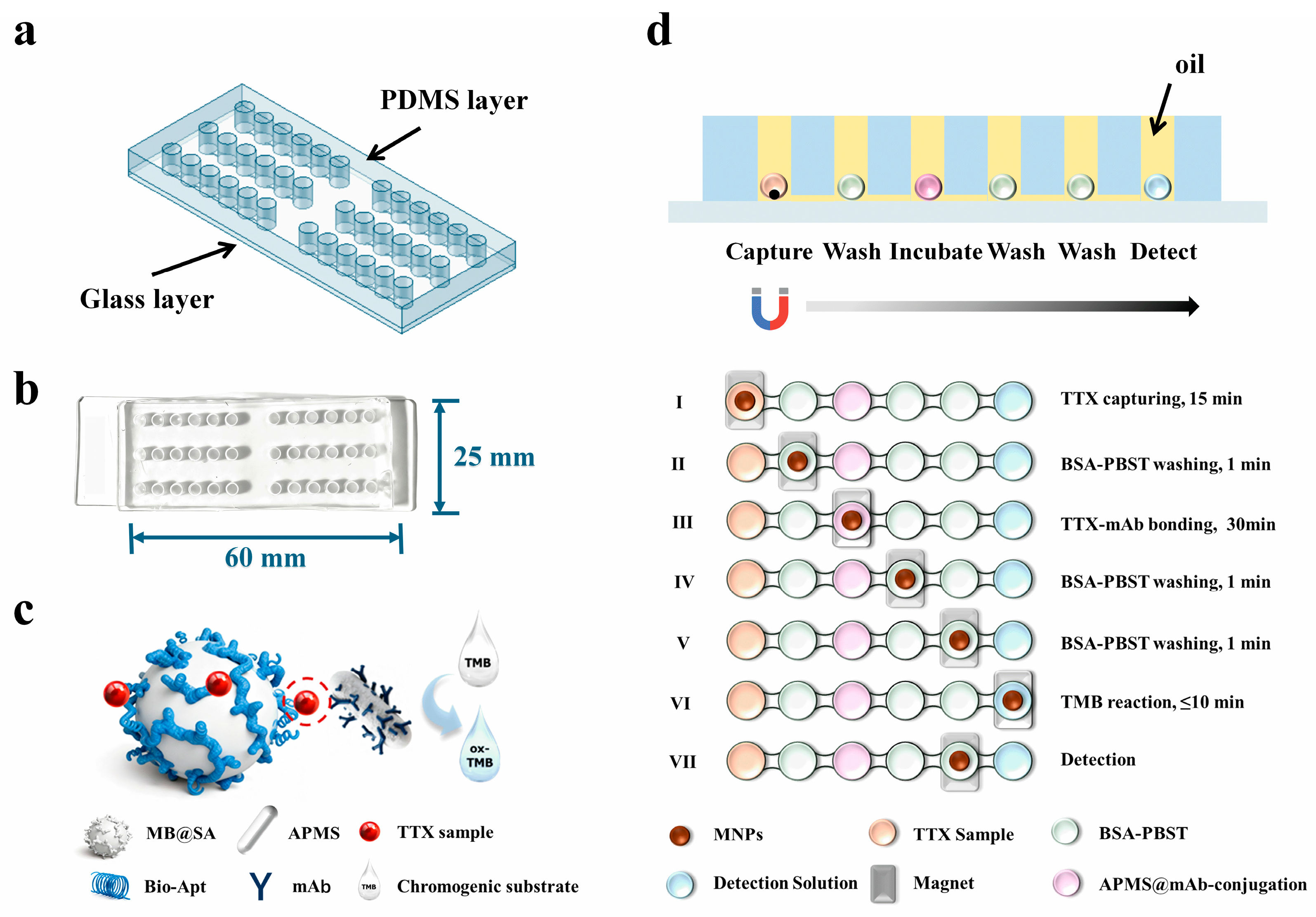 Biosensors 16 00089 g001 Biosensors 16 00089 g001